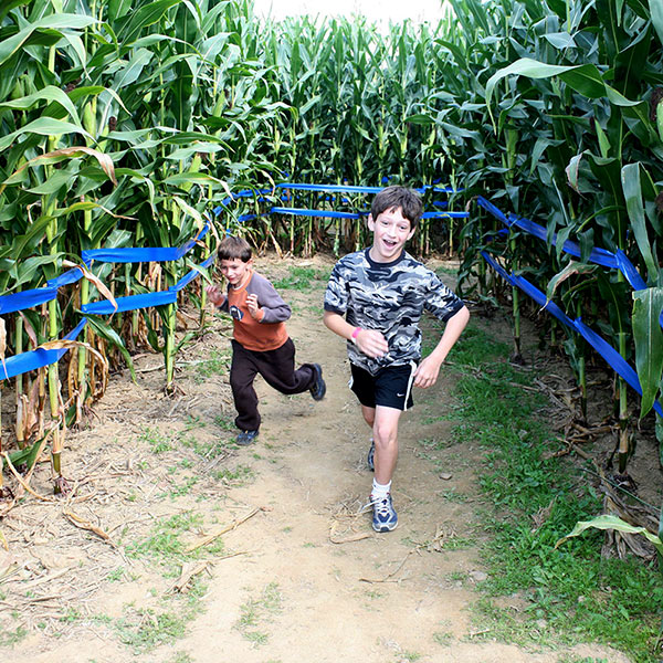 Custom Corn Mazes for Your Farm